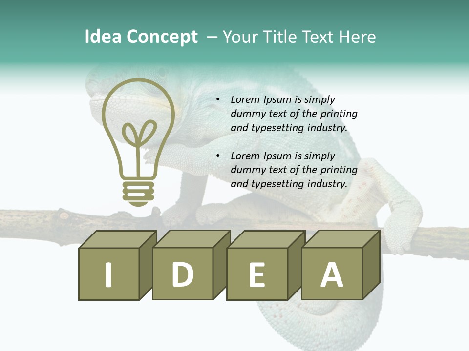 Color Colored Animal PowerPoint Template