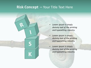 Color Colored Animal PowerPoint Template