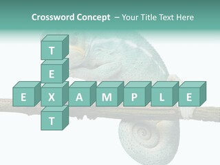 Color Colored Animal PowerPoint Template