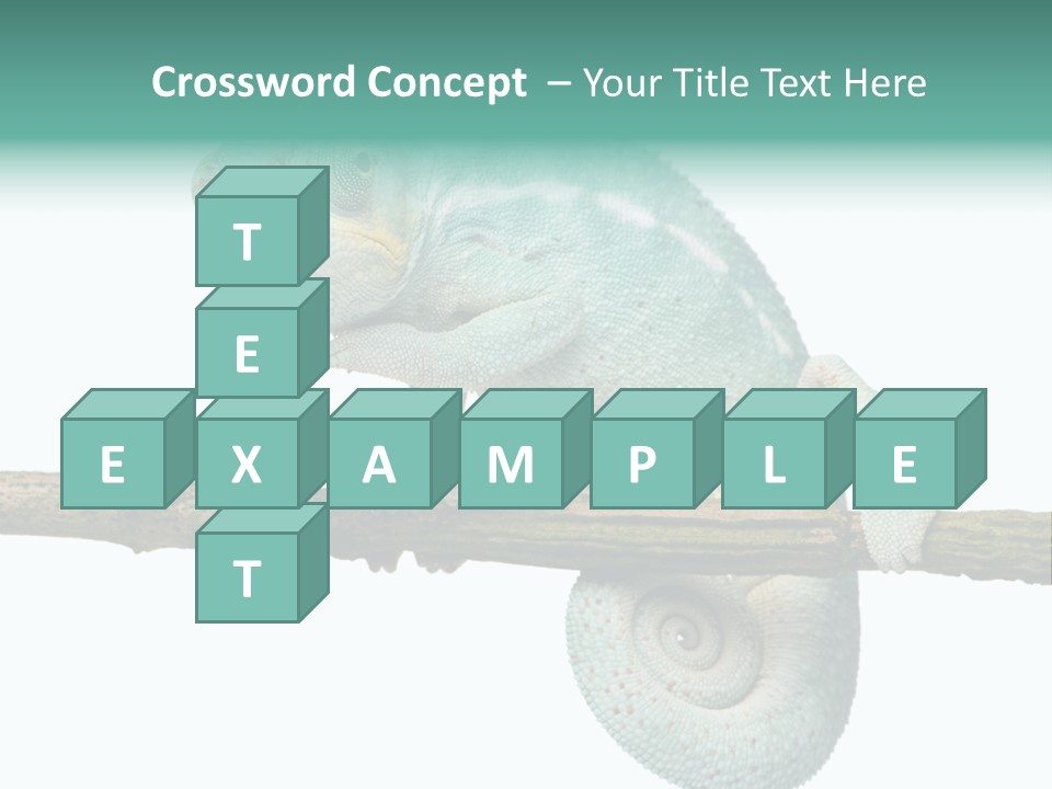 Color Colored Animal PowerPoint Template