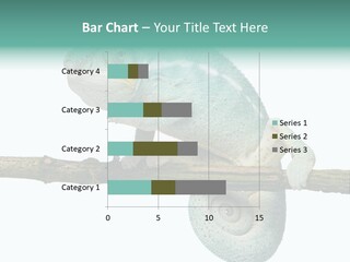 Color Colored Animal PowerPoint Template