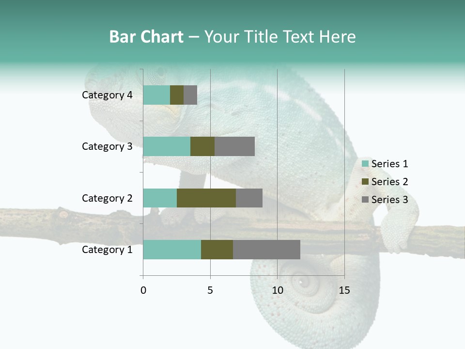 Color Colored Animal PowerPoint Template