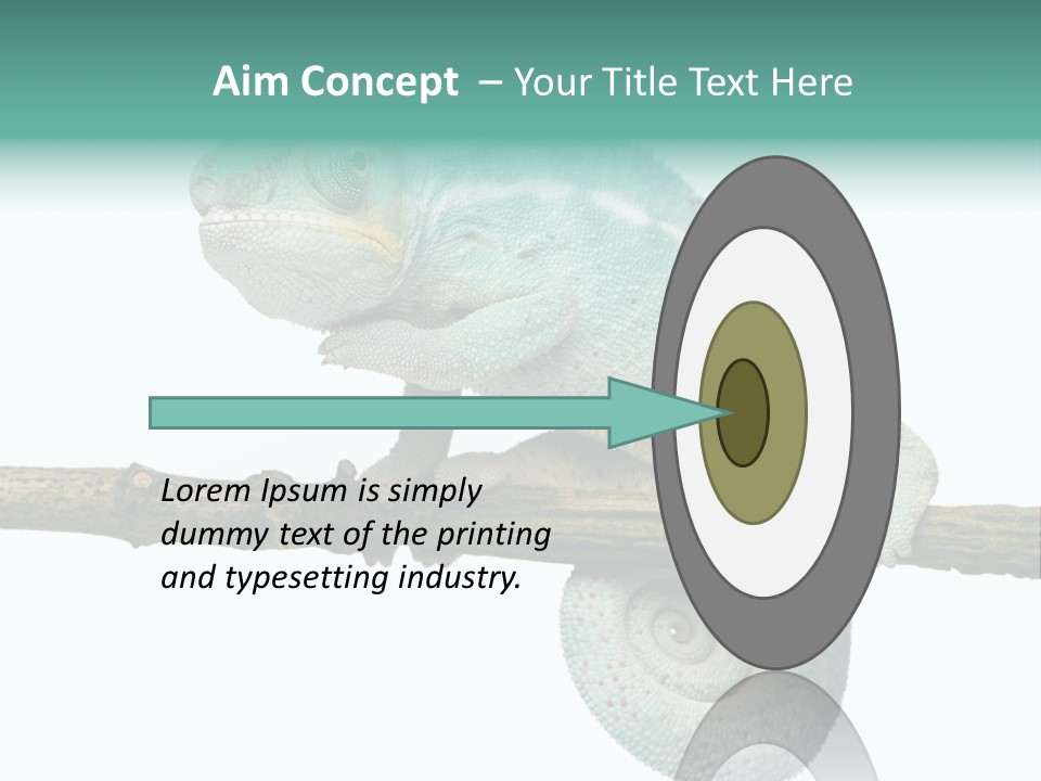 Color Colored Animal PowerPoint Template