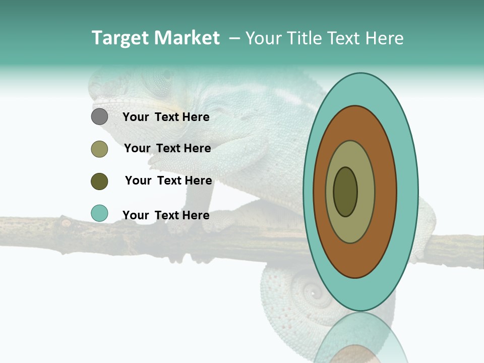 Color Colored Animal PowerPoint Template