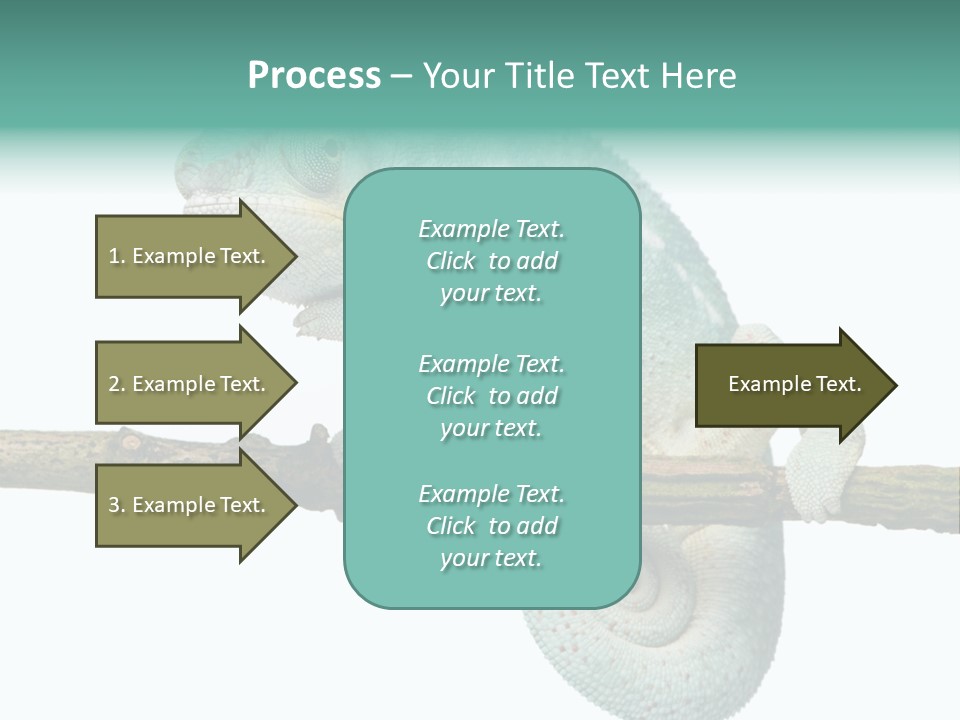 Color Colored Animal PowerPoint Template
