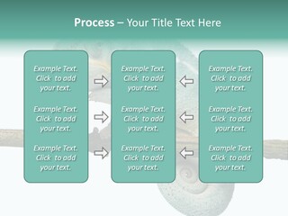 Color Colored Animal PowerPoint Template