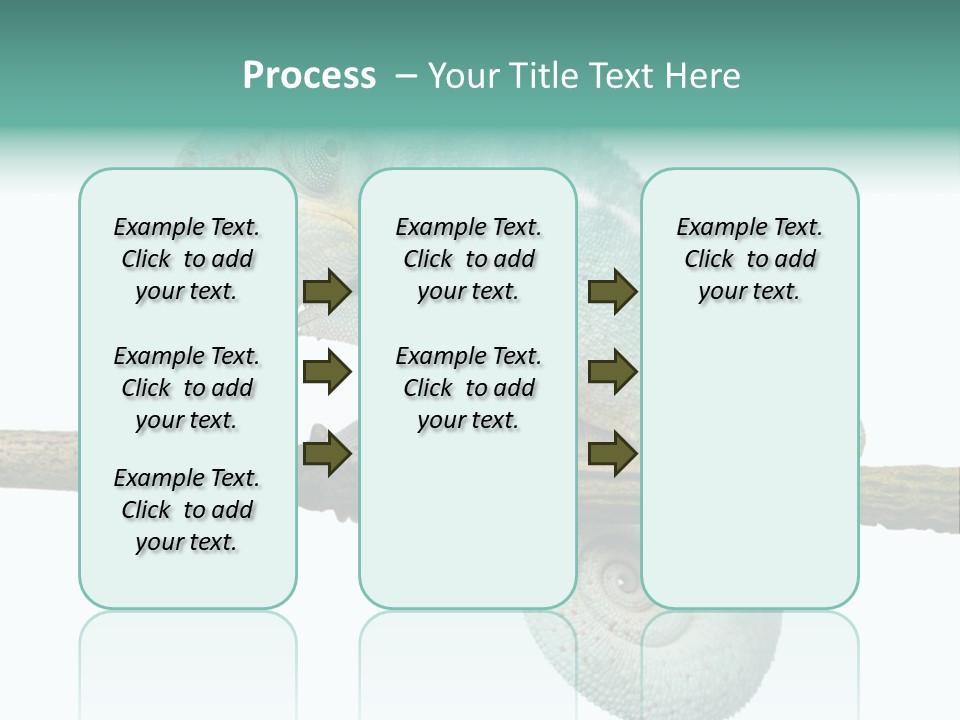 Color Colored Animal PowerPoint Template
