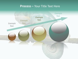 Color Colored Animal PowerPoint Template