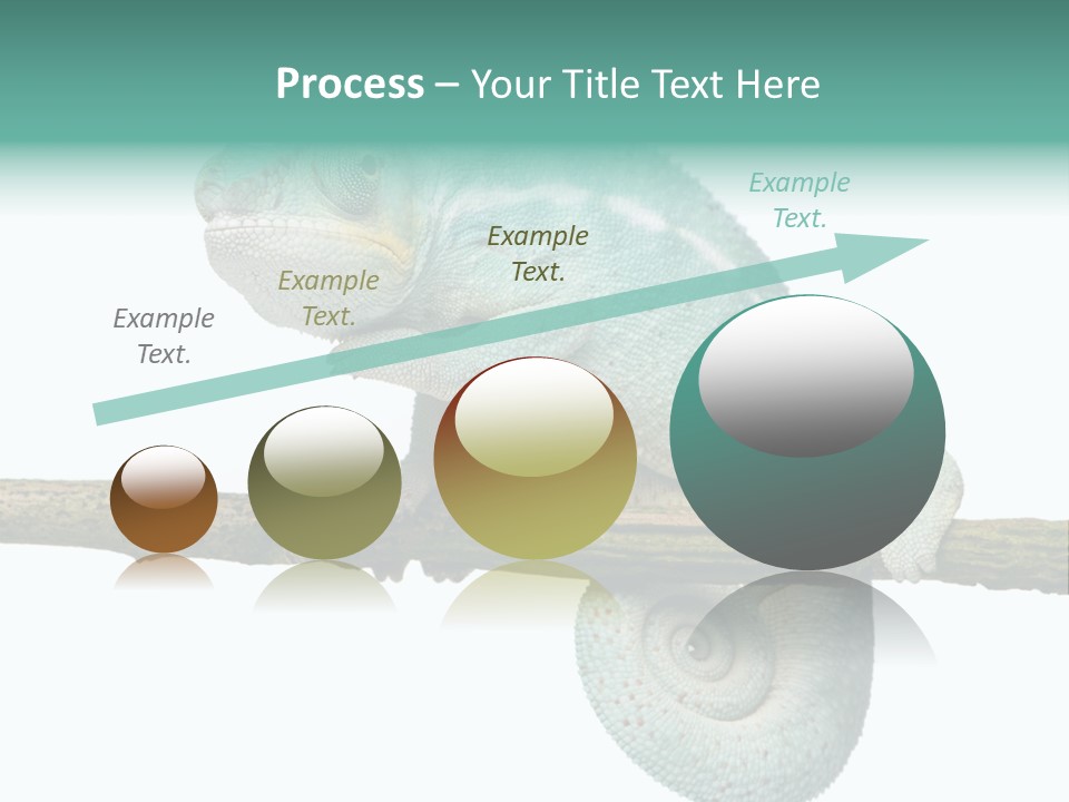 Color Colored Animal PowerPoint Template