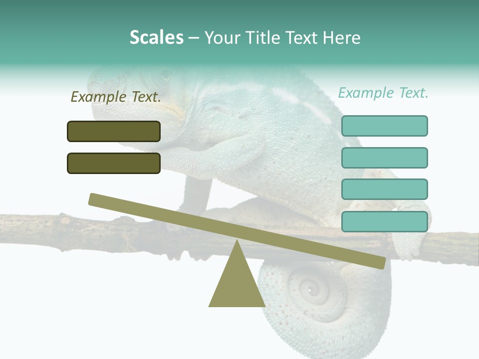 Color Colored Animal PowerPoint Template