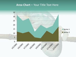 Color Colored Animal PowerPoint Template