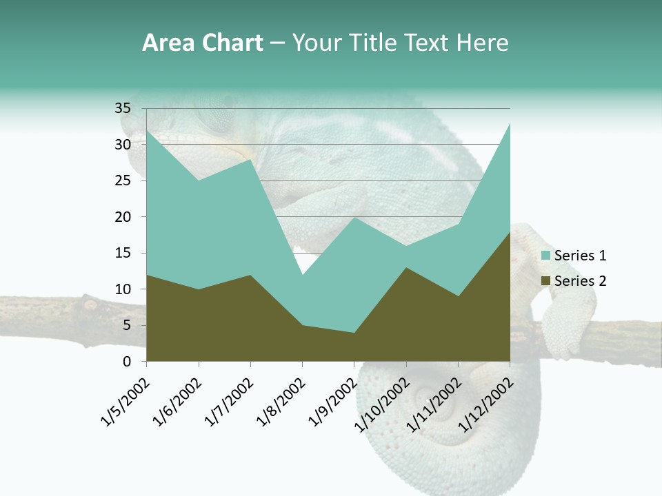 Color Colored Animal PowerPoint Template