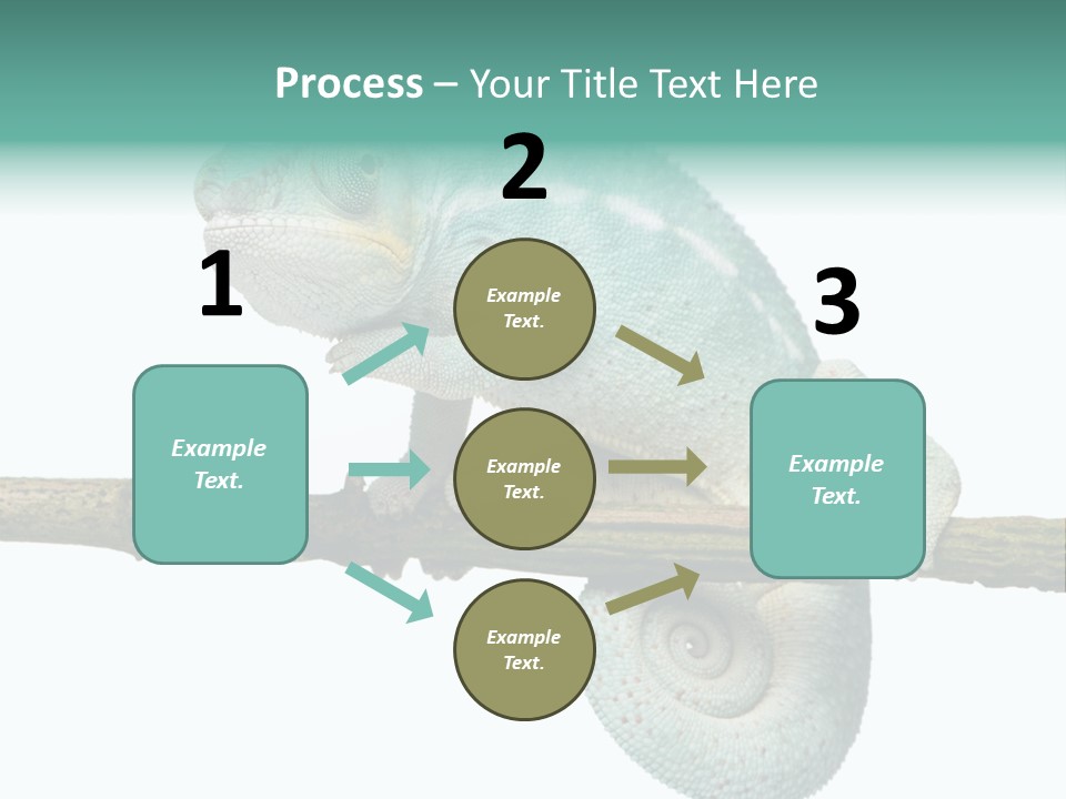 Color Colored Animal PowerPoint Template