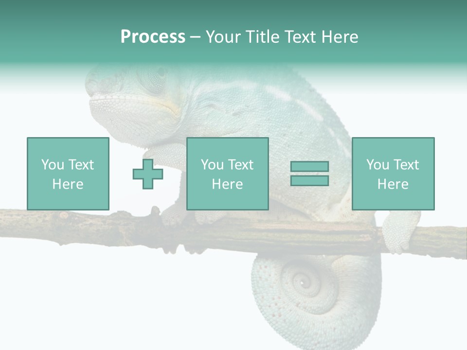 Color Colored Animal PowerPoint Template