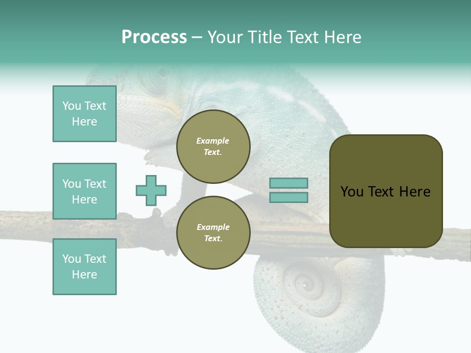 Color Colored Animal PowerPoint Template