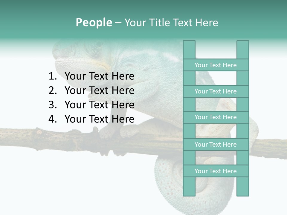 Color Colored Animal PowerPoint Template