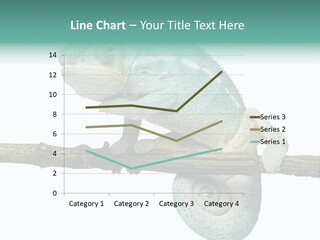 Color Colored Animal PowerPoint Template