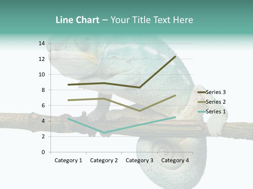 Color Colored Animal PowerPoint Template