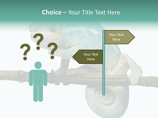 Color Colored Animal PowerPoint Template