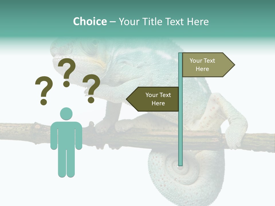 Color Colored Animal PowerPoint Template