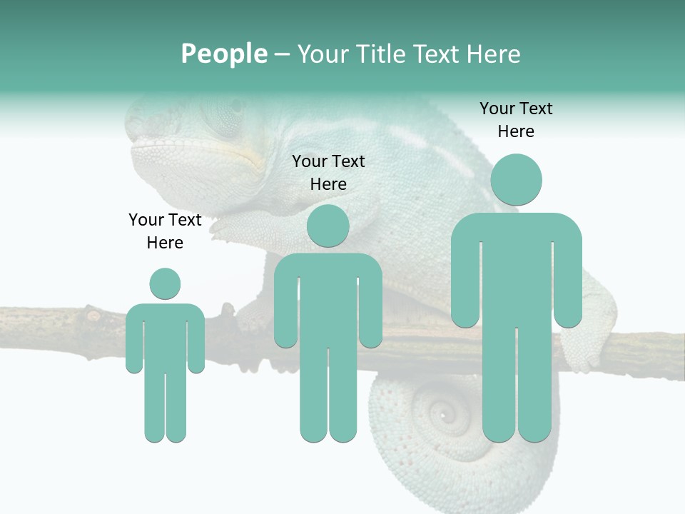 Color Colored Animal PowerPoint Template