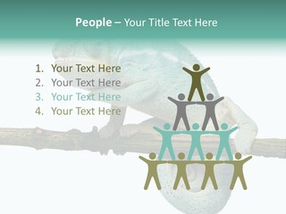 Color Colored Animal PowerPoint Template
