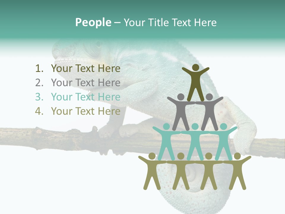 Color Colored Animal PowerPoint Template