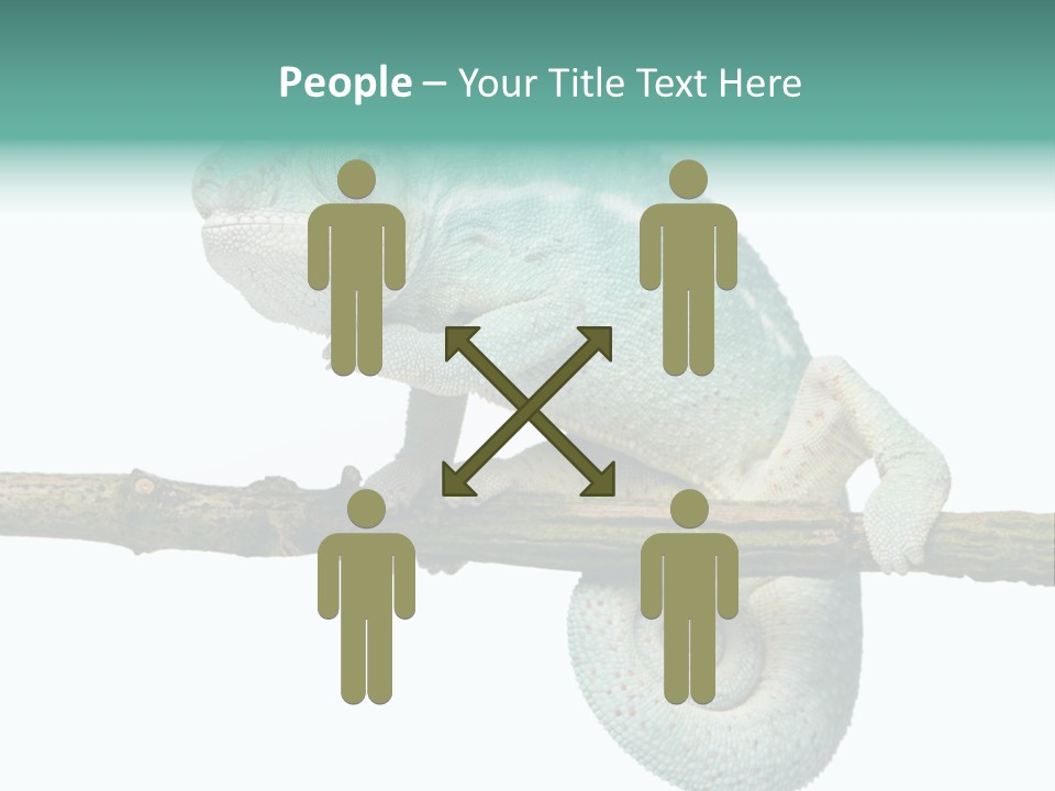 Color Colored Animal PowerPoint Template