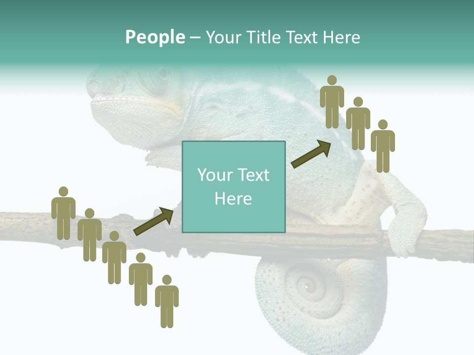 Color Colored Animal PowerPoint Template