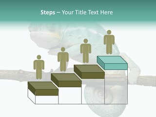 Color Colored Animal PowerPoint Template