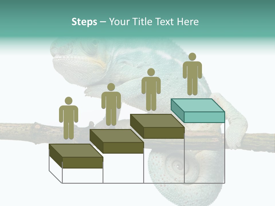 Color Colored Animal PowerPoint Template