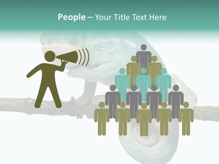 Color Colored Animal PowerPoint Template