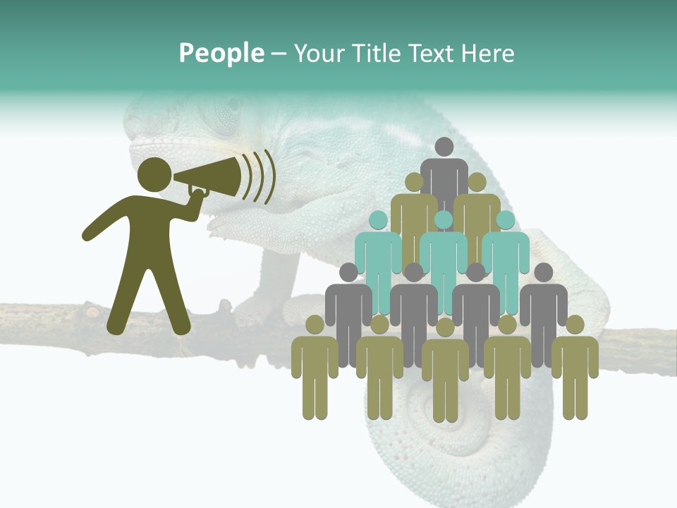 Color Colored Animal PowerPoint Template