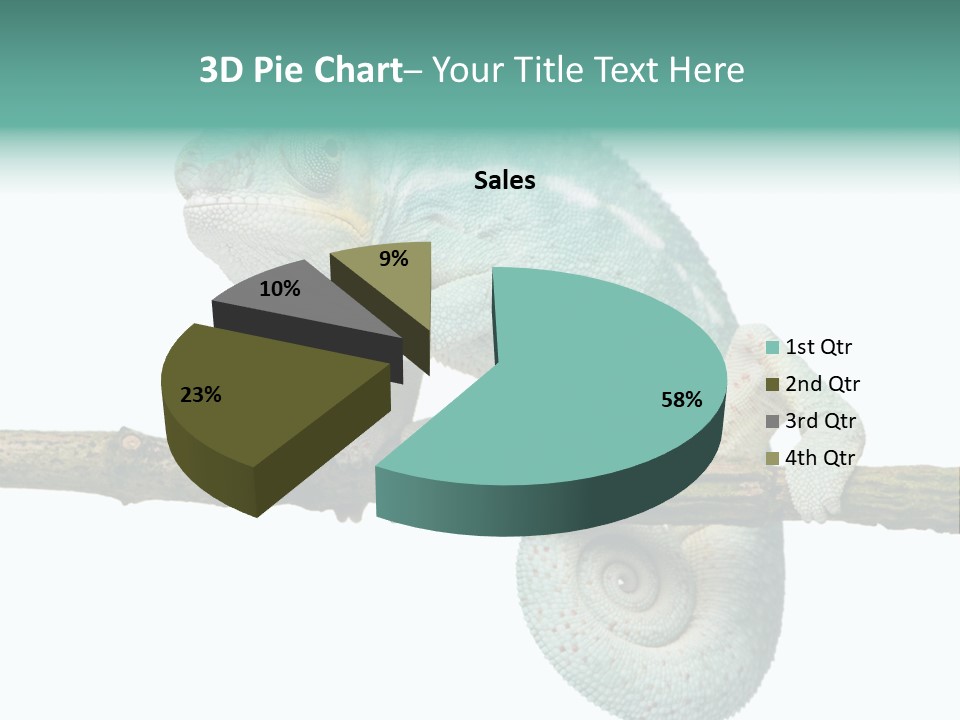 Color Colored Animal PowerPoint Template