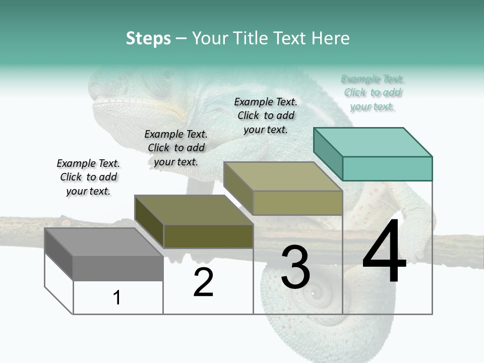 Color Colored Animal PowerPoint Template