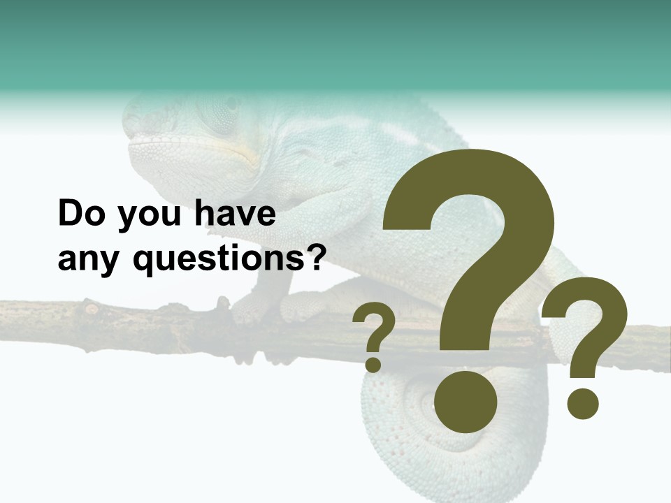 Color Colored Animal PowerPoint Template