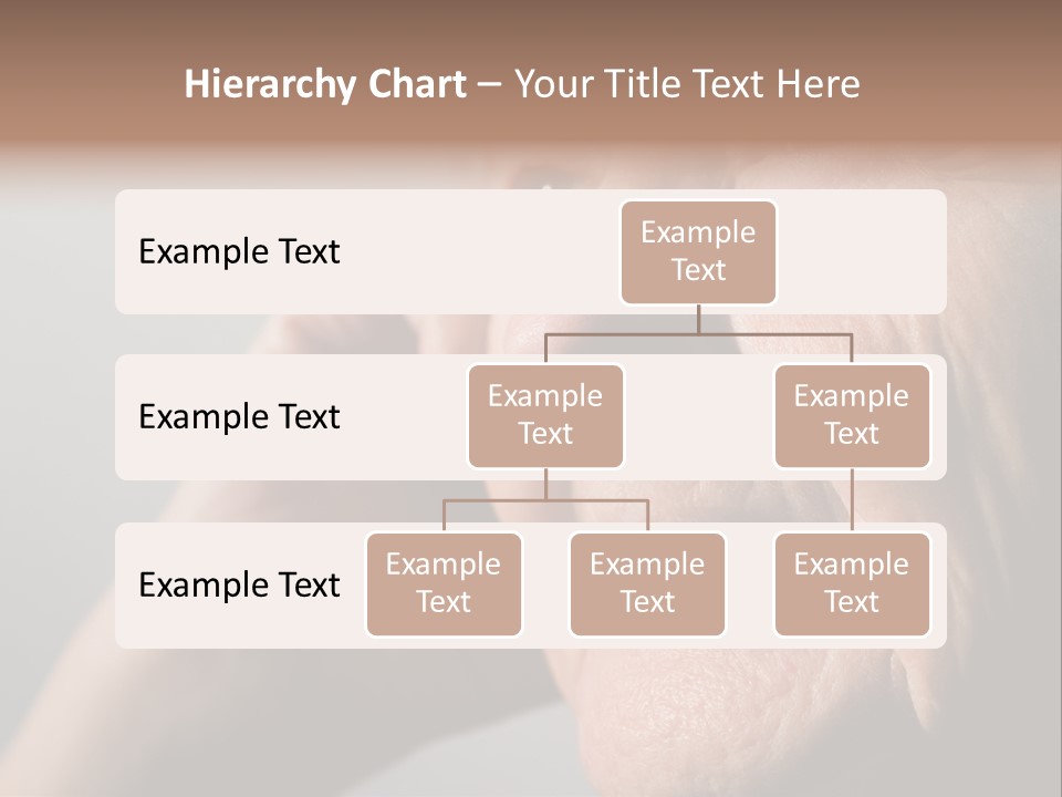Retiring Horizontal Pension PowerPoint Template
