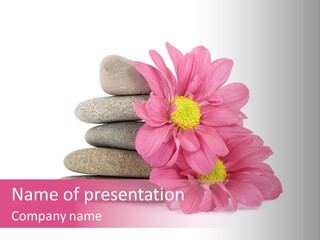 Treatment Spa Flower PowerPoint Template