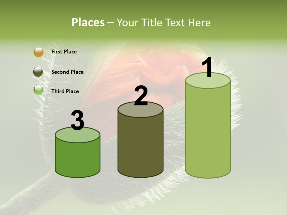 Sunlight Hairy Horticulture PowerPoint Template