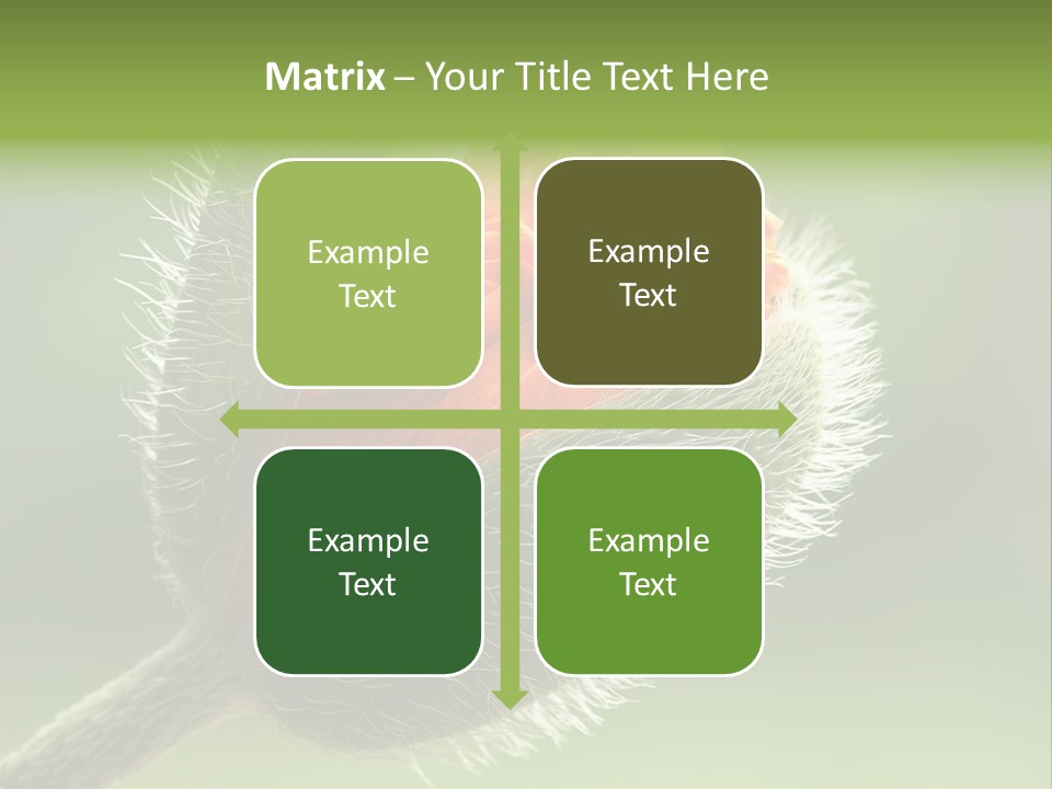 Sunlight Hairy Horticulture PowerPoint Template