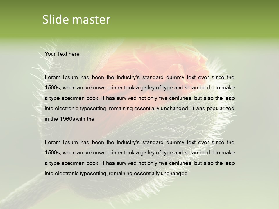 Sunlight Hairy Horticulture PowerPoint Template