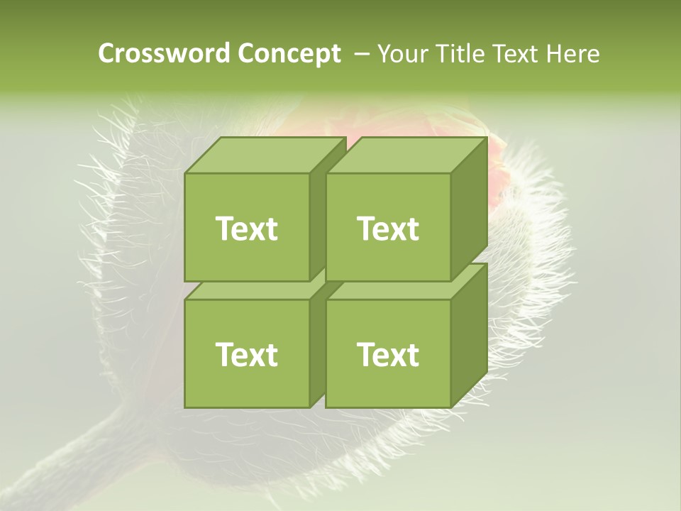Sunlight Hairy Horticulture PowerPoint Template