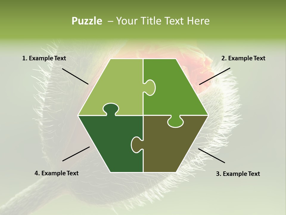 Sunlight Hairy Horticulture PowerPoint Template