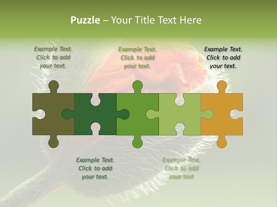 Sunlight Hairy Horticulture PowerPoint Template