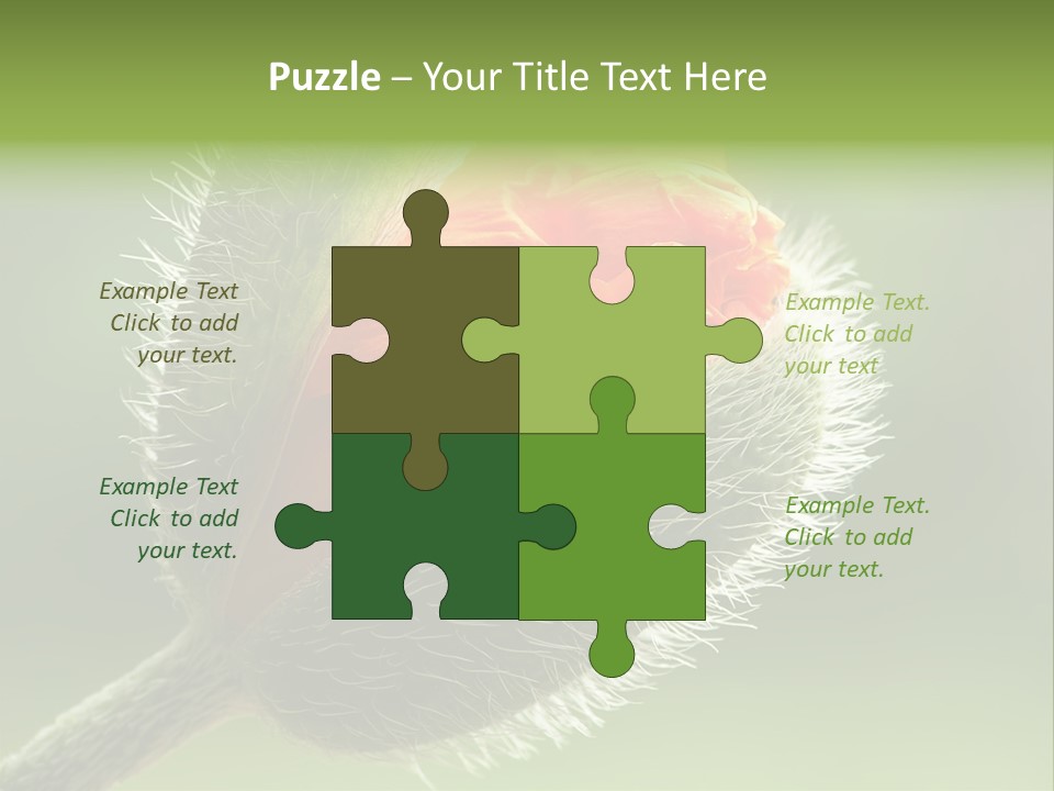 Sunlight Hairy Horticulture PowerPoint Template