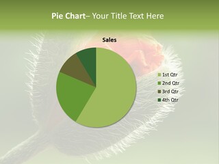 Sunlight Hairy Horticulture PowerPoint Template