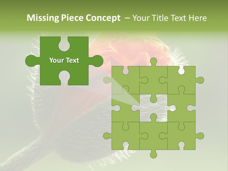 Sunlight Hairy Horticulture PowerPoint Template