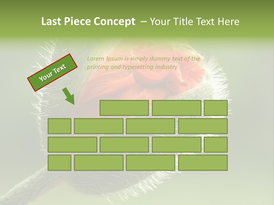 Sunlight Hairy Horticulture PowerPoint Template