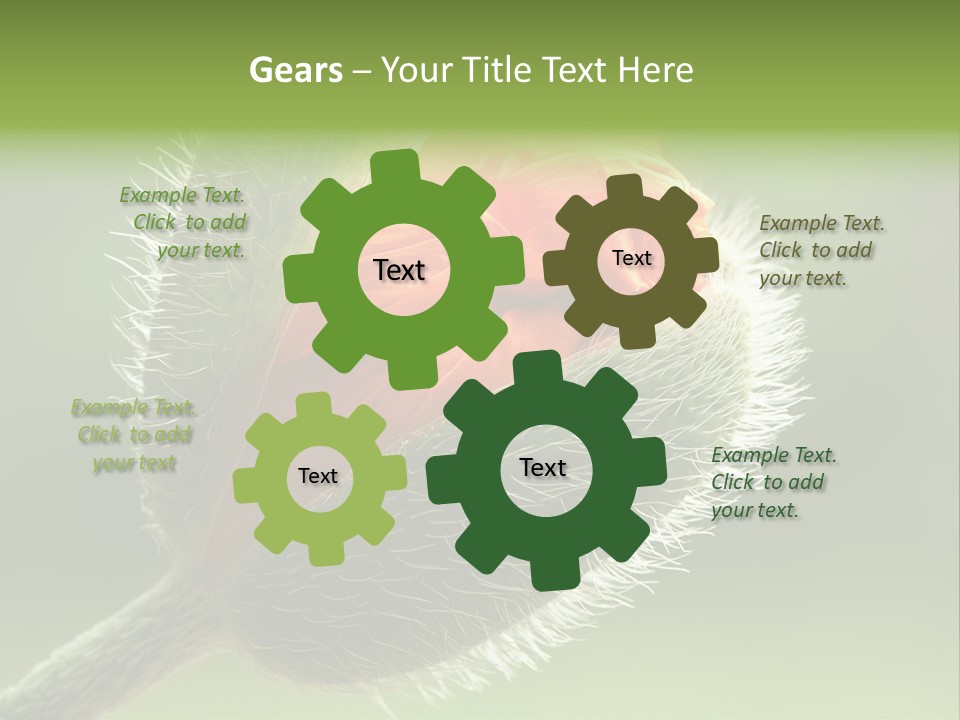 Sunlight Hairy Horticulture PowerPoint Template