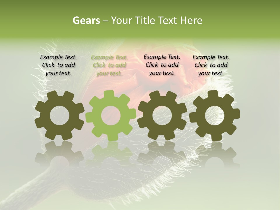 Sunlight Hairy Horticulture PowerPoint Template